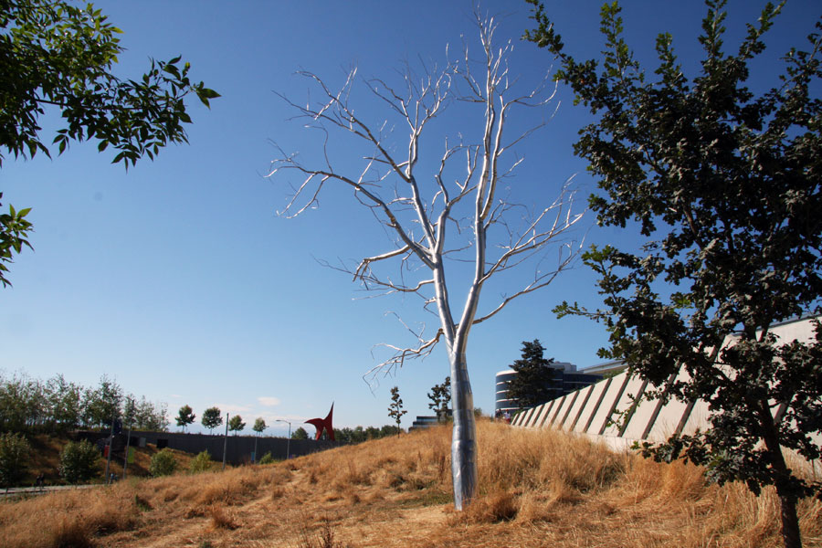 Silver Tree