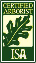 Certified ISA Arborist