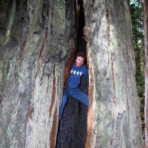 John in a Giant Redwood